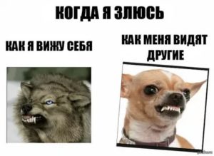 как не злиться на людей