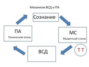 Как побороть паническую атаку при всд