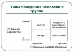 Типы поведения человека