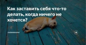 Как заставить себя делать то что не хочется