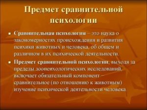 Сравнительная психология