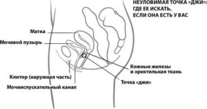 Как получить оргазм мужчине