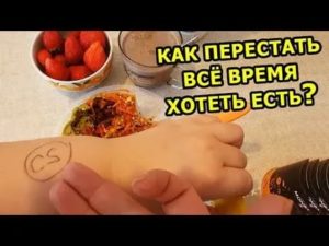 как перестать все время есть