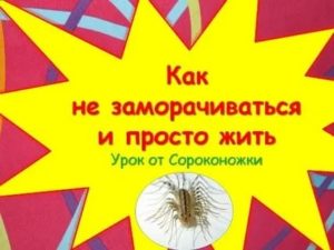 как не заморачиваться