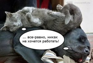 Почему не хочется работать