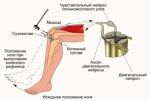 как проверить нервы