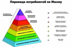 Пирамида маслоу