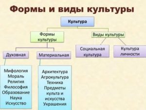 Виды культуры