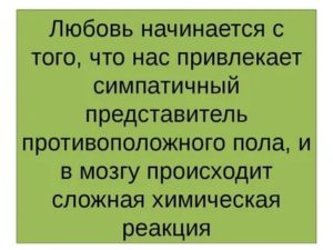 Как начинается любовь