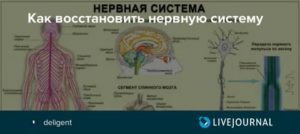 восстановить нервы после стресса