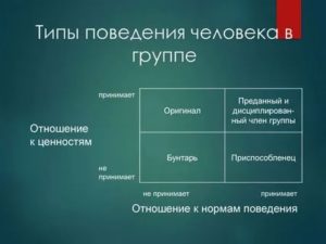 Типы поведения человека