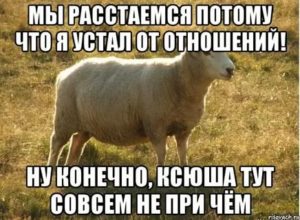 устала от отношений