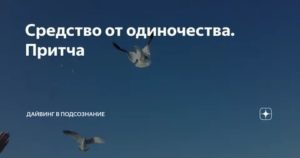 Средство от одиночества