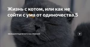 Как не сойти с ума от одиночества