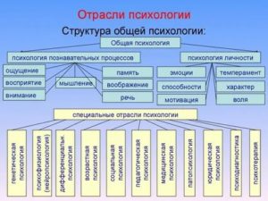 Виды психологии