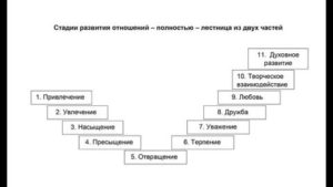 Стадии отношений