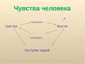 Чувства человека