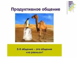 Продуктивное общение