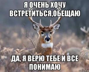 Очень хочу девушку