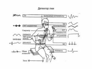 Принцип работы детектора лжи