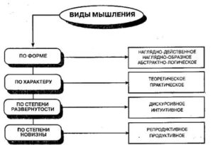 Типы и виды мышления