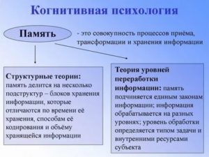 Когнитивная психология