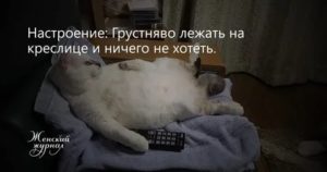 Хочу лежать и ничего не делать