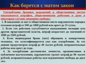 Какое наказание за оскорбление матом