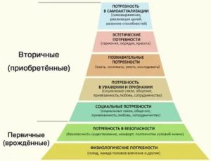 Пирамида маслоу