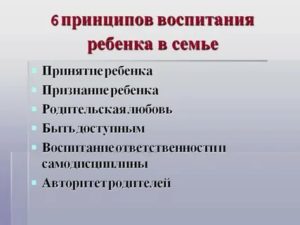 Основные принципы воспитания детей