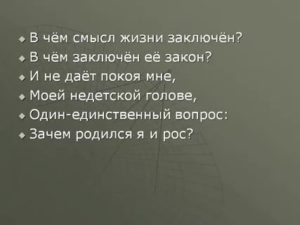 Как жить правильно смысл жизни