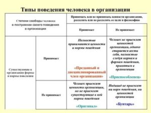 Типы поведения человека