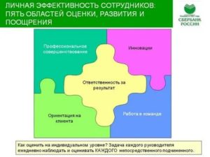 Оценка эффективности развития персонала