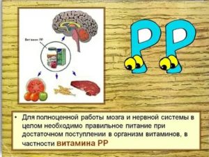 питание для мозга и нервной системы