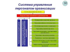 Управление персоналом организации