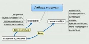 Как увеличить половую активность у мужчин