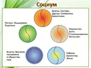 Братья и сестры друзья или соперники