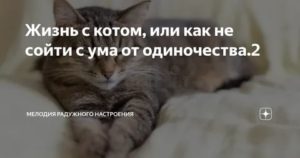 Как не сойти с ума от одиночества