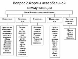 Виды невербального общения