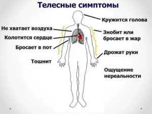 Вегетососудистая дистония панические атаки