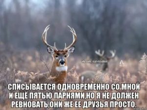 Почему мой парень меня не хочет