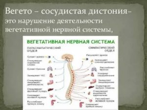 восстановить вегетативную нервную систему