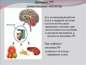 витамины для мозга и нервной системы