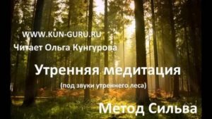 Метод сильва медитация