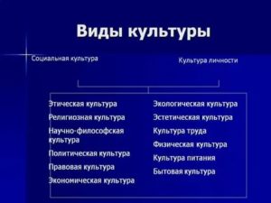 Виды культуры