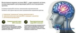 восстановить вегетативную нервную систему