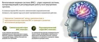 восстановить вегетативную нервную систему