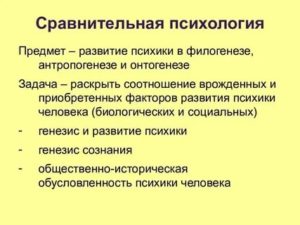 Сравнительная психология