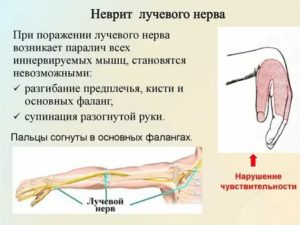 Правила поведения в конфликте