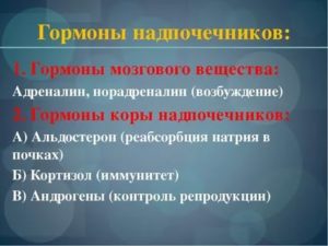 Типичные вопросы на собеседовании